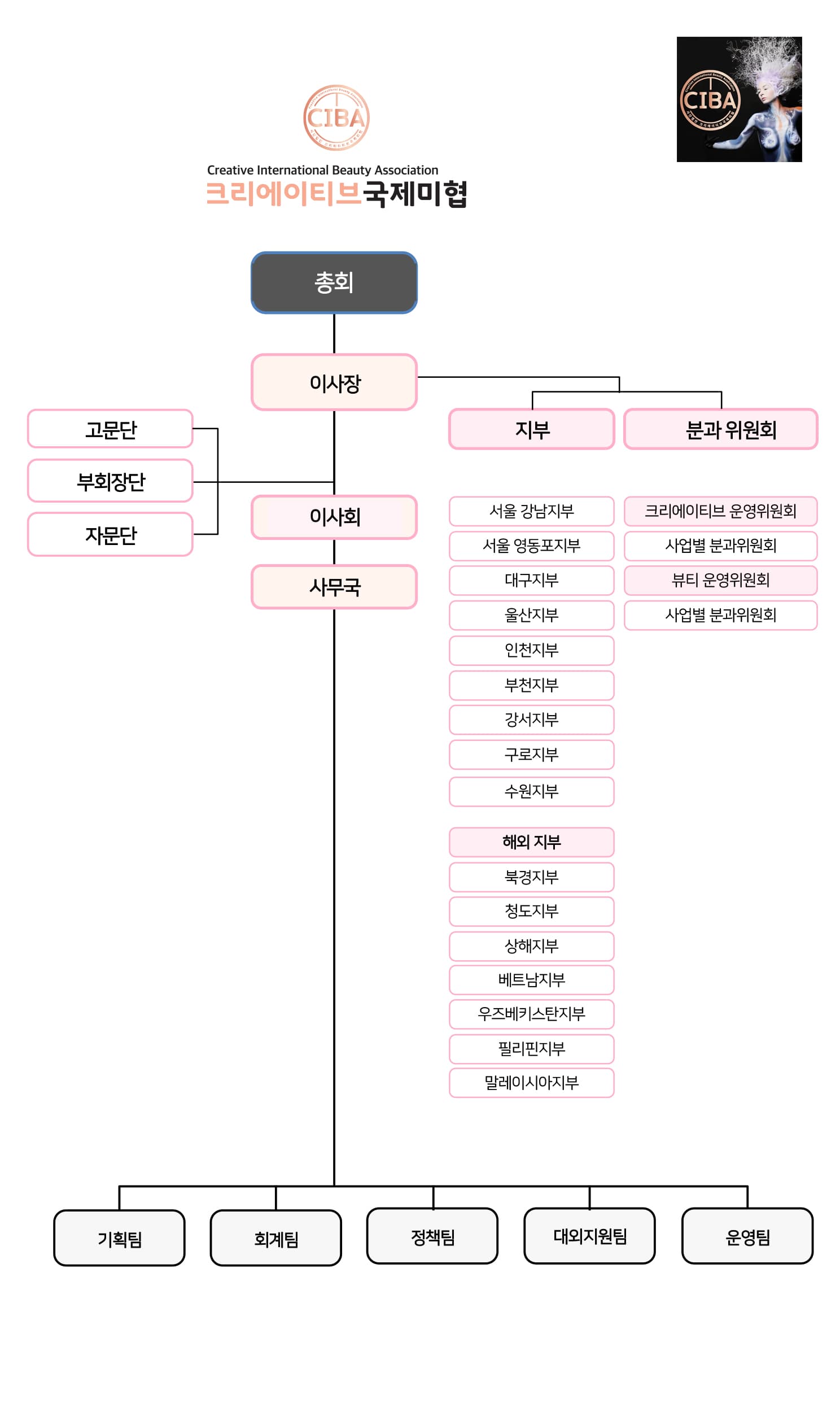 CIBA 조직도: 총회, 이사장, 이사회, 사무국, 전국 및 해외 지부, 분과위원회 구성도